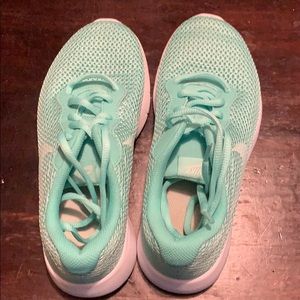 Teal/Seafoam Green Nike Tanjun Youth shoes